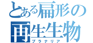 とある扁形の再生生物（プラナリア）