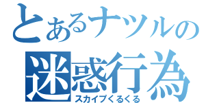 とあるナツルの迷惑行為（スカイプくるくる）