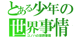 とある少年の世界事情（コノハの世界事情）