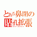 とある鼻閉の貼孔拡張（ブリーズライト）