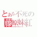 とある不死の藤原妹紅（とうほうプロジェクト）