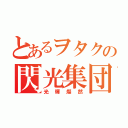 とあるヲタクの閃光集団（光輝燦然）