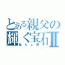 とある親父の輝く宝石Ⅱ（髪なし頭）