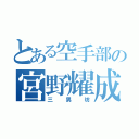 とある空手部の宮野耀成（三男坊）