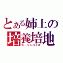 とある姉上の培養培地（コージンバイオ）