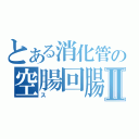 とある消化管の空腸回腸Ⅱ（ス）