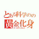 とある科学のの黄金化身（ゴールデンカムイ）