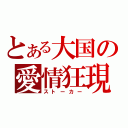 とある大国の愛情狂現（ストーカー）