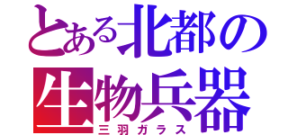 とある北都の生物兵器（三羽ガラス）