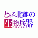 とある北都の生物兵器（三羽ガラス）