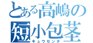 とある高嶋の短小包茎（キュウセンチ）