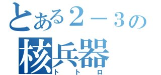 とある２－３の核兵器（トトロ）