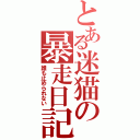 とある迷猫の暴走日記（誰も止められない）