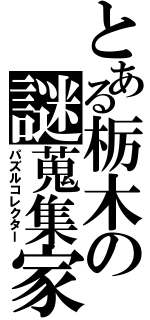 とある栃木の謎蒐集家（パズルコレクター）