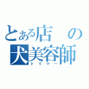 とある店の犬美容師（トリマー）