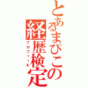 とあるまぴこの経歴検定（プロフィール）