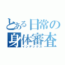 とある日常の身体審査（インデックス）