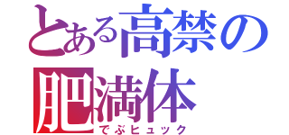 とある高禁の肥満体（でぶヒュック）