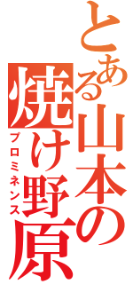 とある山本の焼け野原（プロミネンス）