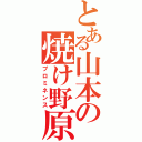 とある山本の焼け野原（プロミネンス）