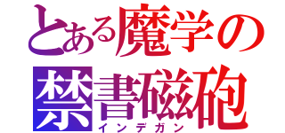 とある魔学の禁書磁砲（インデガン）