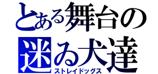 とある舞台の迷ゐ犬達（ストレイドッグス）