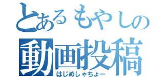 とあるもやしの動画投稿（はじめしゃちょー）