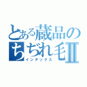 とある蔵品のちぢれ毛Ⅱ（インデックス）