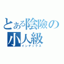 とある陰險の小人級（インデックス）