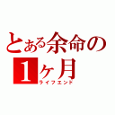 とある余命の１ヶ月（ライフエンド）