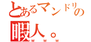 とあるマンドリン部の暇人。（ｗｗｗ）