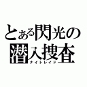 とある閃光の潜入捜査（ナイトレイド）