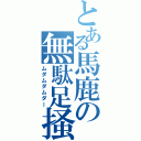 とある馬鹿の無駄足掻Ⅱ（ムダムダムダー）