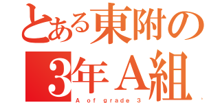 とある東附の３年Ａ組（Ａ ｏｆ ｇｒａｄｅ ３）