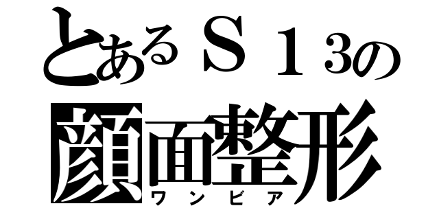 とあるＳ１３の顔面整形（ワンビア）