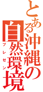 とある沖縄の自然環境（プレゼン）