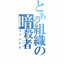 とある組織の暗殺者（ファントム）