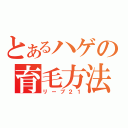 とあるハゲの育毛方法（リーブ２１）