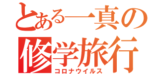 とある一真の修学旅行（コロナウイルス）