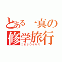 とある一真の修学旅行（コロナウイルス）