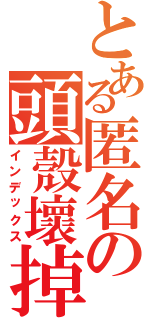 とある匿名の頭殼壞掉Ⅱ（インデックス）