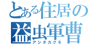 とある住居の益虫軍曹（アシダカグモ）