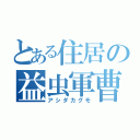 とある住居の益虫軍曹（アシダカグモ）