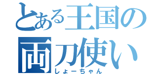 とある王国の両刀使い（しょーちゃん）