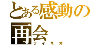 とある感動の再会（ライネオ）