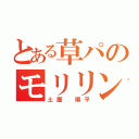 とある草パのモリリン（土屋 順平）