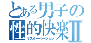 とある男子の性的快楽Ⅱ（マスターベーション）