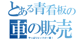 とある青看板の車の販売店（やっぱりビックが一番！）