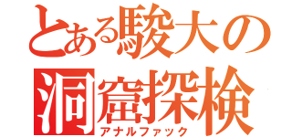 とある駿大の洞窟探検（アナルファック）