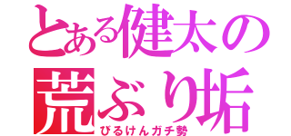 とある健太の荒ぶり垢（びるけんガチ勢）